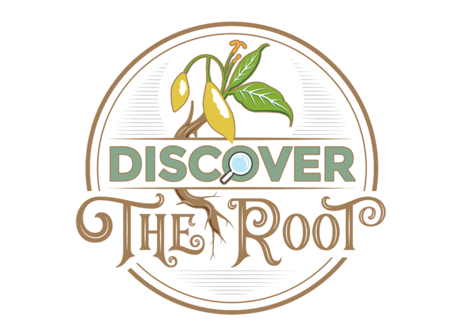 Discover the Root